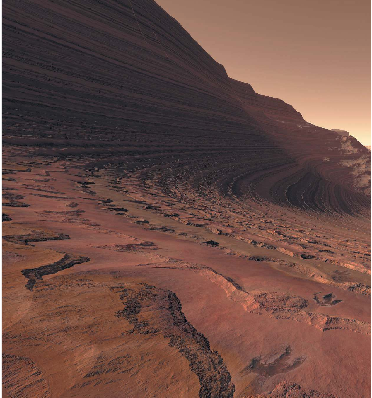  Самая умная книга для самого нужного места - страница 2