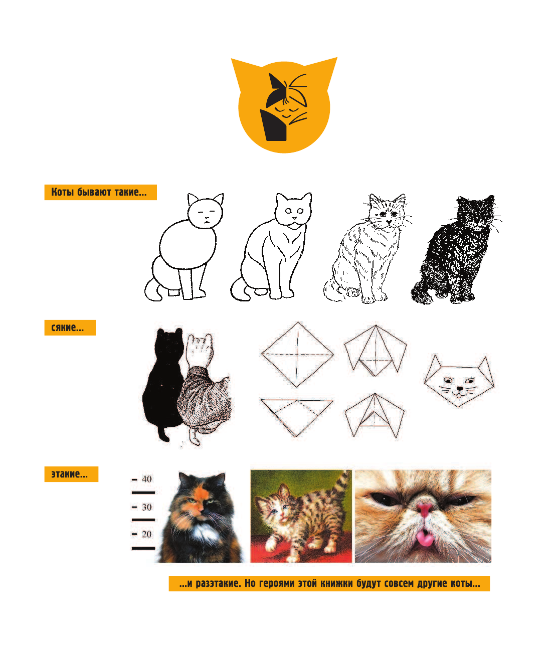 Воронцов Николай Павлович Дневник кота Помпона - страница 2