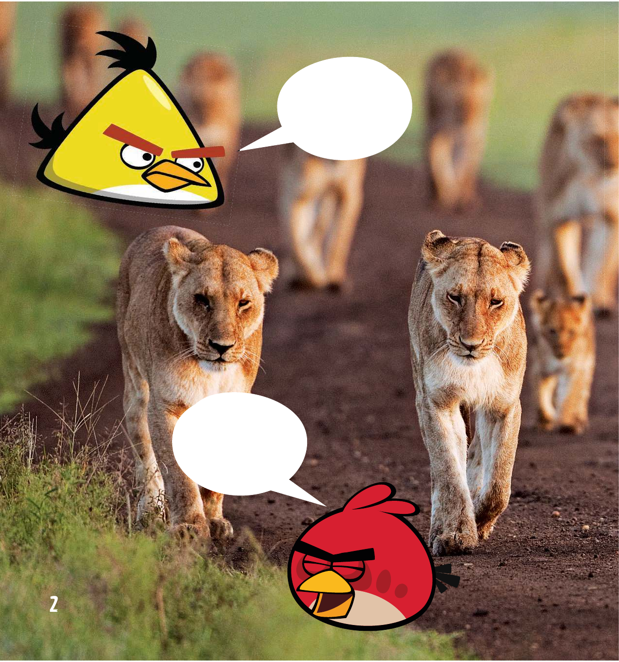  Angry Birds. Животные - страница 2
