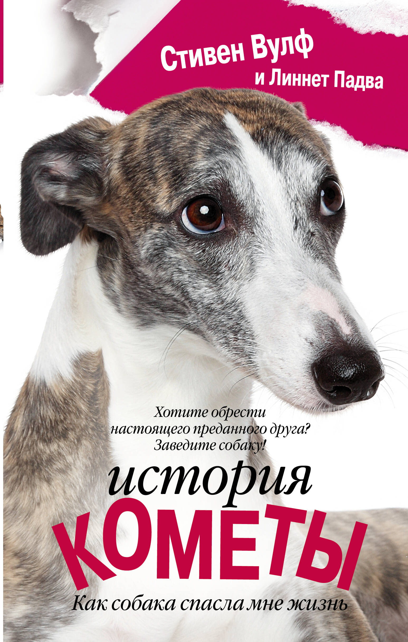 Вулф Стивен, Падва Линнет История Кометы. Как собака спасла мне жизнь - страница 0