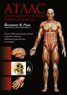 Атлас анатомии человека в фотографиях