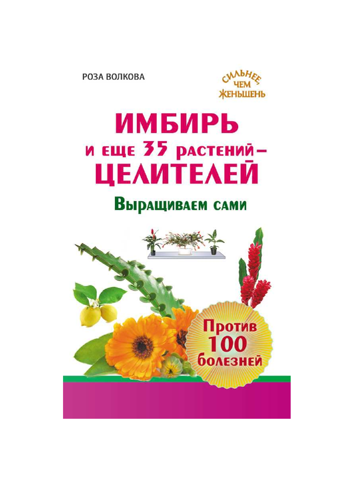 Волкова Роза  Имбирь и еще 35 растений ЦЕЛИТЕЛЕЙ. Выращиваем сами. Против 100 болезней - страница 1