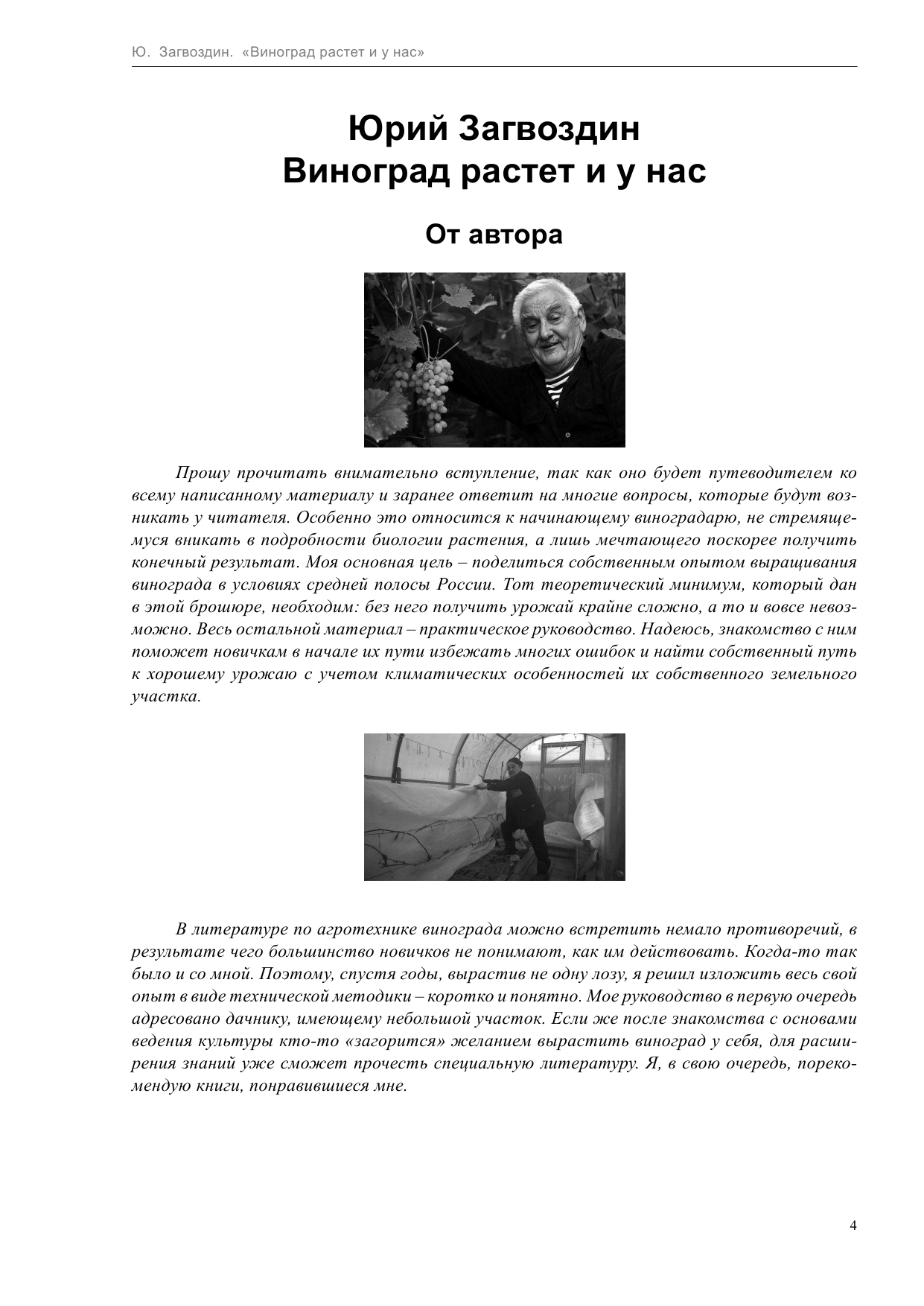 Загвоздин Юрий Максимович Виноград растет и у нас - страница 4