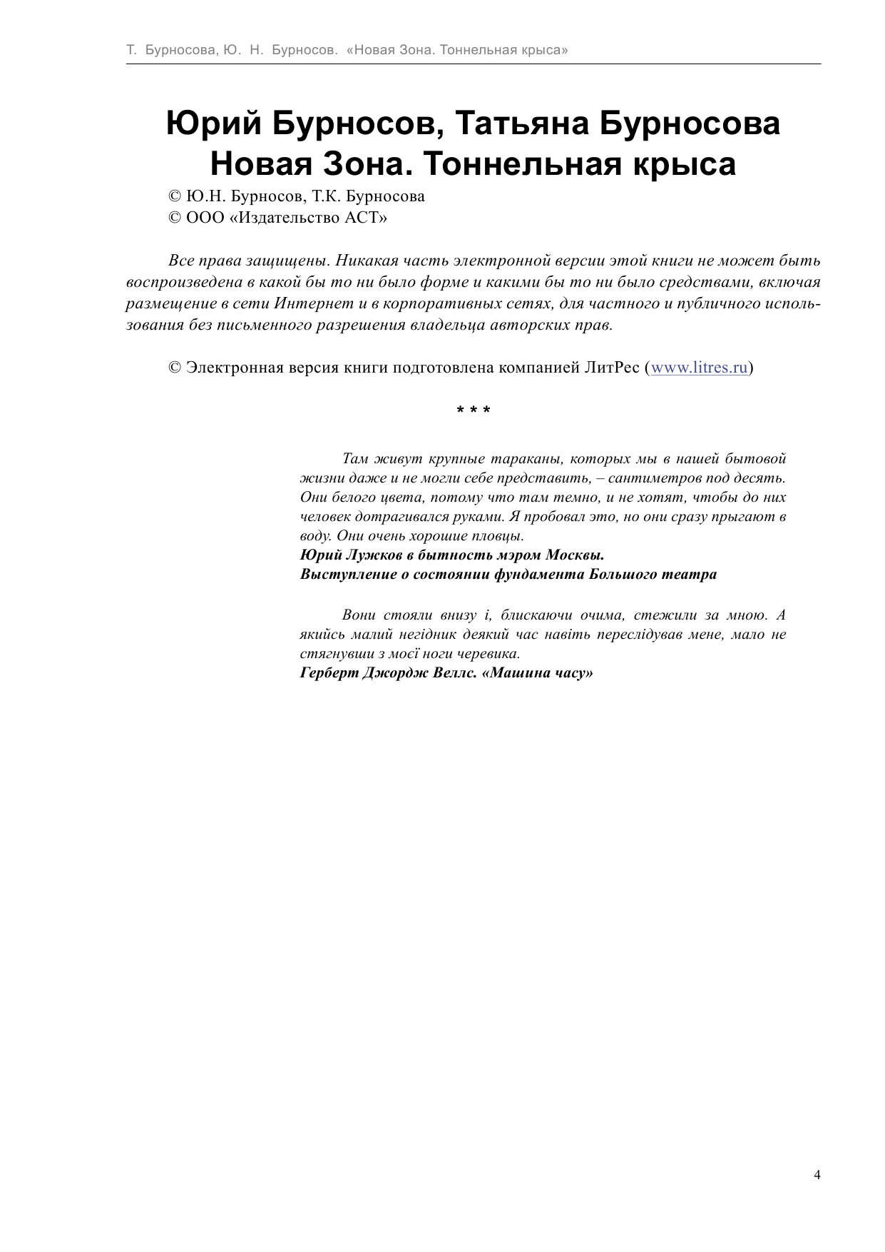 Бурносов Юрий Николаевич Новая Зона. Тоннельная крыса - страница 4