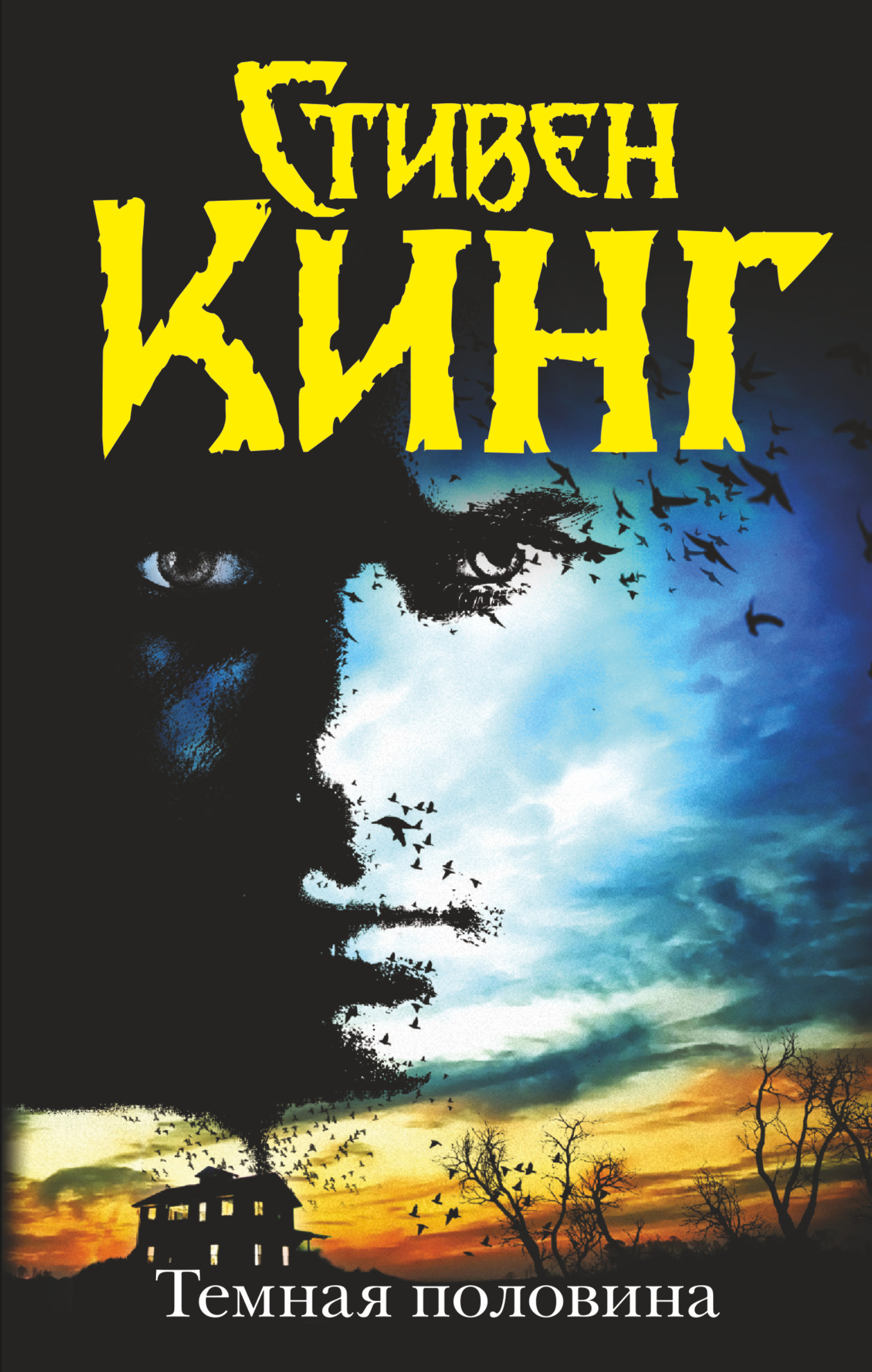 Кинг Стивен Темная половина (новый перевод) - страница 0