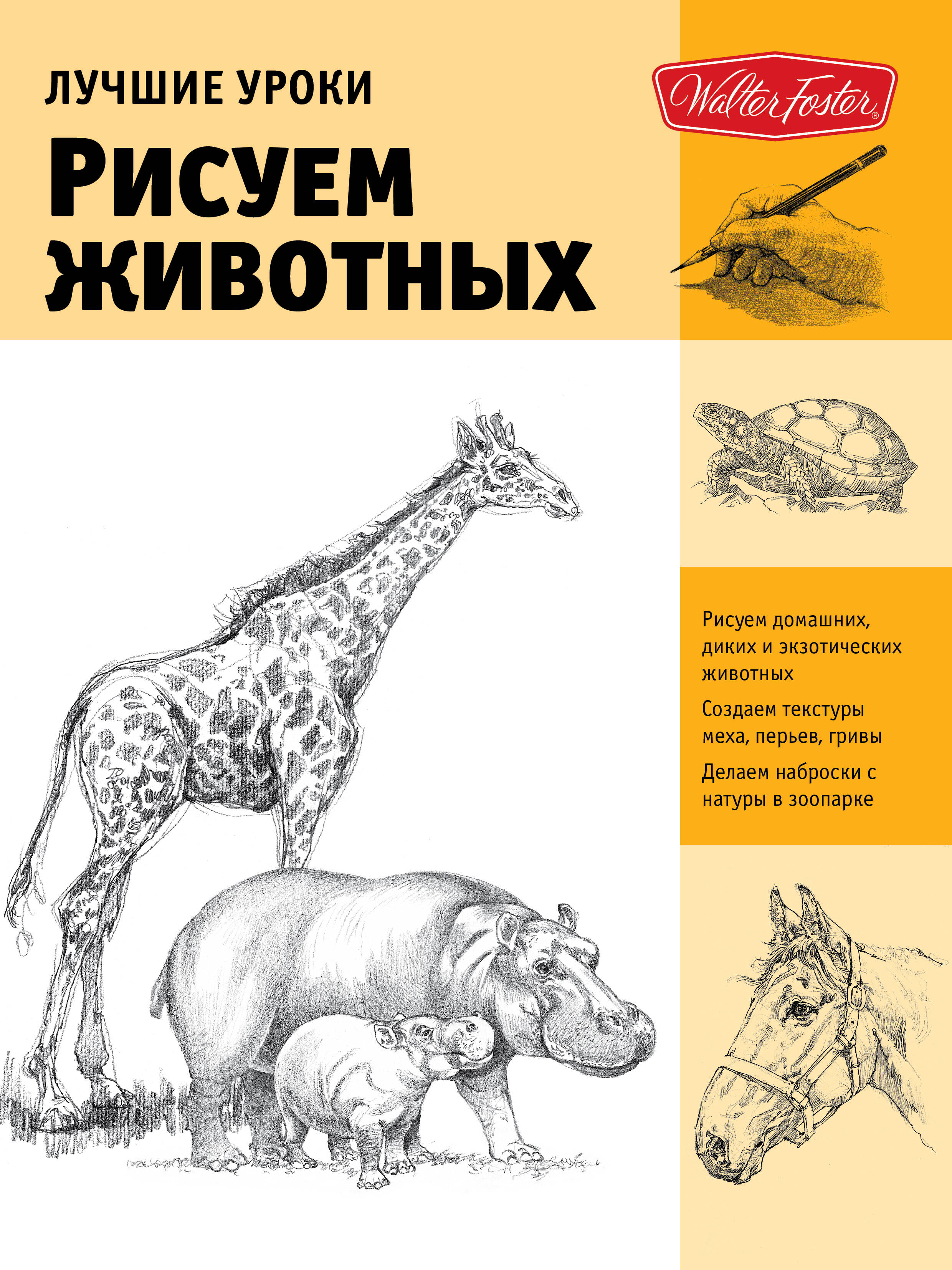  Рисуем животных - страница 0