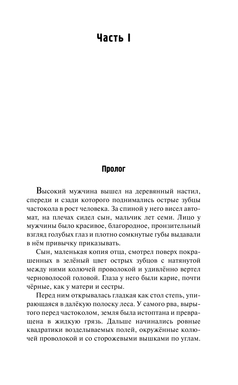 Мамонтов Павел Александрович Общий враг - страница 4