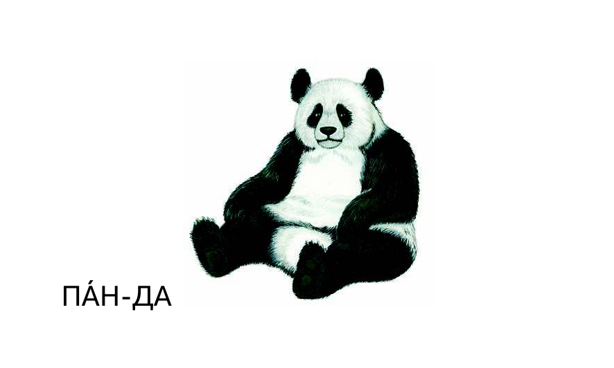 Матюшкина Катя  Животные - страница 1