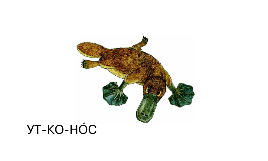 Матюшкина Катя  Животные - страница 3