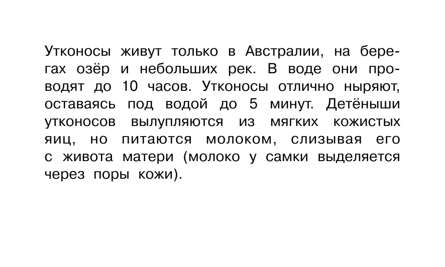 Матюшкина Катя  Животные - страница 4