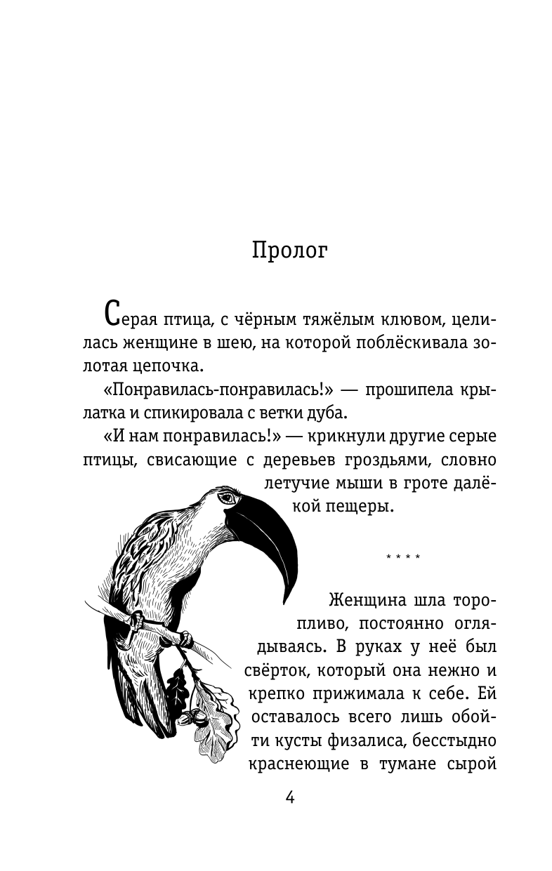 Шипулина Тоня  Ведьма Страны Туманов - страница 4
