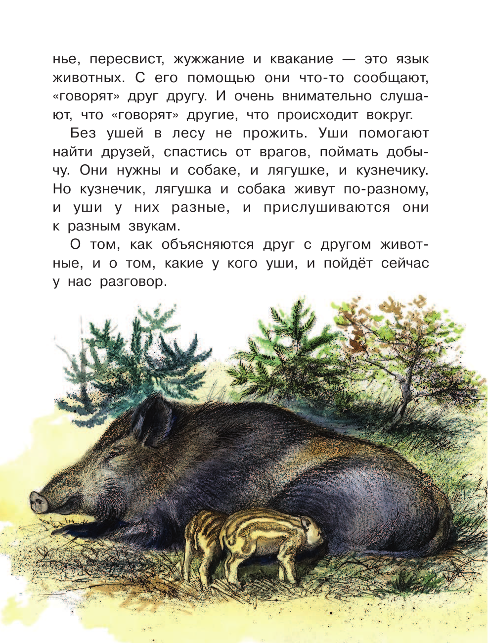 Танасийчук Виталий Николаевич Кто видит ушами? - страница 4