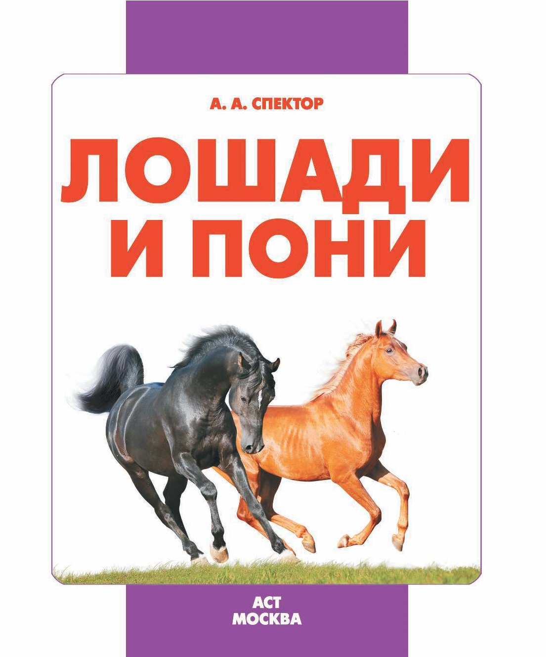  Лошади и пони - страница 2