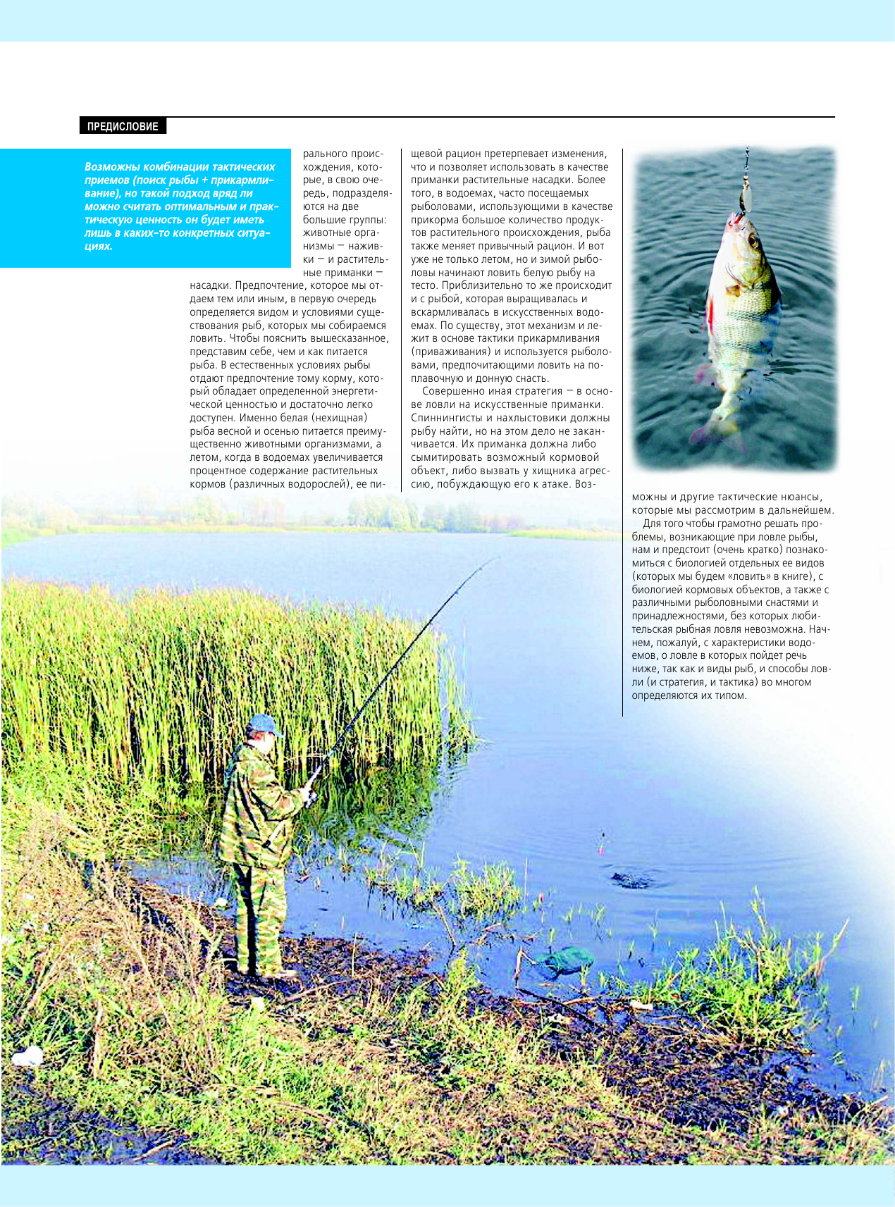 Мельников Илья Валерьевич, Сидоров С. А. Большая энциклопедия рыбалки. Тактика и стратегия - страница 4