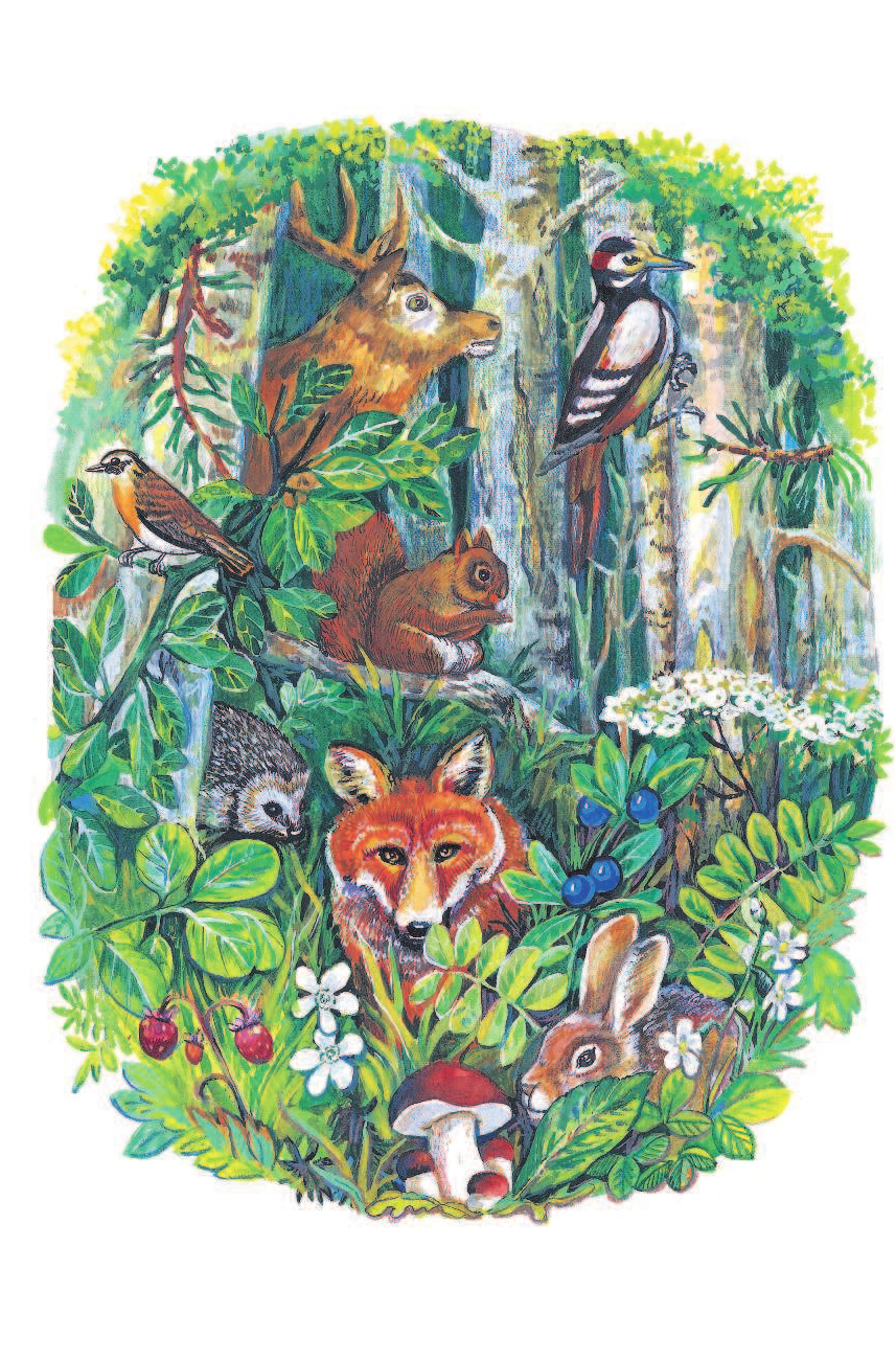  Рассказы и стихи о природе - страница 3